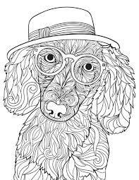 No wonder, kids are often crazy about these pets! 24 Free Pet Coloring Pages For Dog And Cat Owners Better Homes Gardens