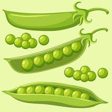 peas cartoon vector images over 5 400