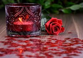 roses candle stock photos royalty free