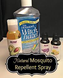 defeat mosquitoes naturally