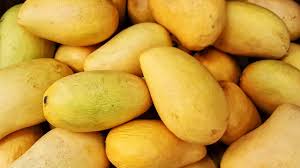 India extends footprint of mango exports to newer countries