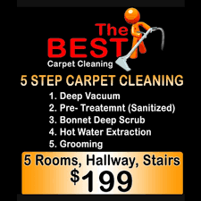 top 10 best carpet cleaning in rosedale