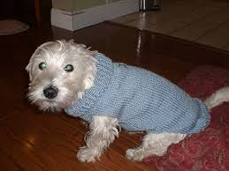 Basic Knitted Dog Sweater Pattern