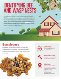 How To Identify Bee And Wasp Nests Orkin Canada