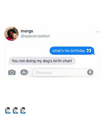 Morgs Whats His Birthday 5 You Not Doing My Dogs Birth
