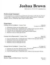 Professional Summary Resume Sample The Hakkinen