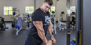 triceps workout program