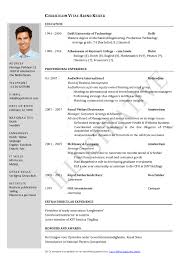 One Page Resume Templates   Page Resume Examples   Page Resume Example One  Page Resume Templates