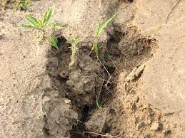 soil erosion definition types