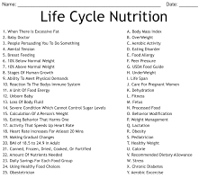 life cycle nutrition worksheet wordmint