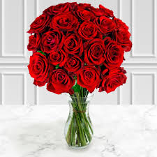 24 select red roses free uk delivery