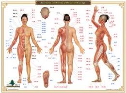 Acupressure Chart Pathways And Points Of Meridian Massage