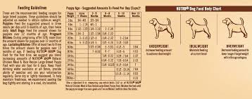 Nutro Max Feeding Chart And Tips Nutro Dog Food Best Dog