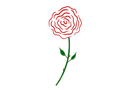how to draw a simple rose in 4 easy