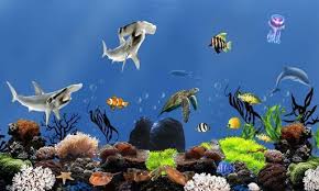 49 free live fish aquarium wallpaper