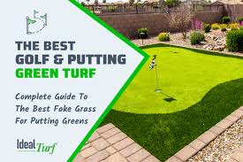 Best Putting Green Turf Home Golf
