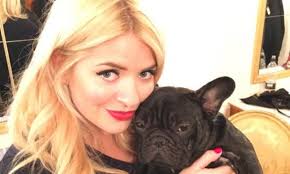 But it means that french bulldogs are far more fragile than they look — an unfortunate fate that has been guaranteed to them by the choices humans have made in breeding them. French Bulldogs Killed In Hungary As Celebs Like Holly Willoughby Fuel Over Breeding Rush Daily Mail Online