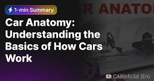 car anatomy understanding the basics