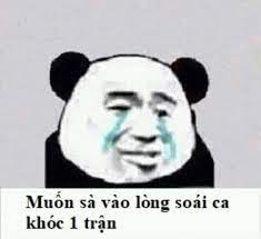 Muốn sà vào lòng soái ca khóc 1 trận - Baozou Manhua meme - Meme Gấu trúc  Trung Quốc | Meme Dump | Lục Lọi Meme | Cộng đồng meme trực tuyến