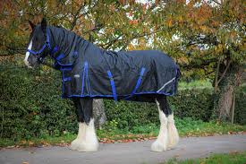 200gram 1200d turnout rug heavy horse