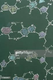 chemical formula of dna on a blackboard