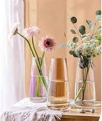 Funsoba Tall Clear Glass Vases For