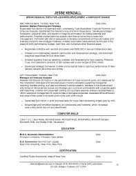 Vice President Resume Examples Omarbay Brianstern Co