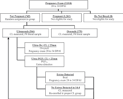 Flowchart Showing Assignment Of Cows To Treatment Groups N