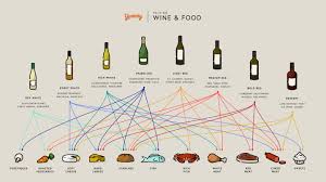 Wine Pairing Basics A Wine Cheat Sheet Infographic