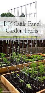 diy garden trellis frugal family home