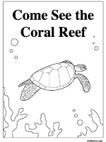 c reef activities worksheets