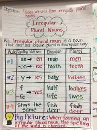Irregular Plural Noun Anchor Chart Teaching Grammar