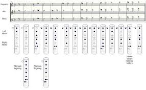 Recorder Notes Recorder Fingering And Note Production