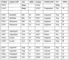 Amino Acid Abbreviation Table Related Keywords Suggestions