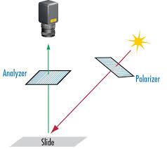 polarization edmund optics