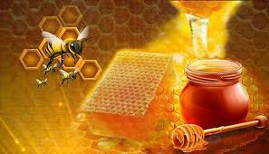 Αποτέλεσμα εικόνας για honey