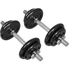 Weight plates (could be rubber or iron, depending on your budget). 12 Home Gym Equipment Essentials Build An Affordable Home Gym Setup Here Self
