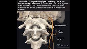 I think it would help to know why you are asking so i could better. Can Cervical Spine Instability Cause Heart Palpitations And Blood Pressure Problems Caring Medical Florida