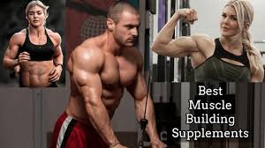 best muscle building supplements 2023