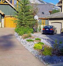 Driveway Landscaping Photo