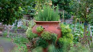 herb planter ideas ways to grow in
