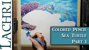 sea turtle colored pencil tutorial