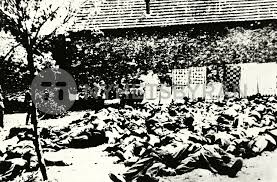 The lidice massacre was the complete destruction of the village of lidice, in the protectorate of bohemia and moravia, now the czech republic. Massaker Von Lidici 1942 Foto Massacre Of Lidice 1942 Photo