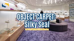 object carpet silky seal you
