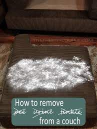 how to remove and urine from couch
