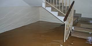 flood clean up step by step flood