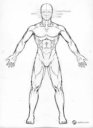 A human body diagram is a representation that outlines the major structures within the human some online diagrams might simply be an outline that is not labeled. Blank Anatomical Position Diagram Human Body Anatomy