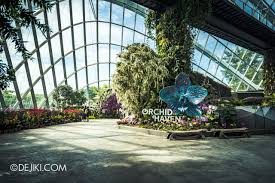 orchid haven at cloud forest and