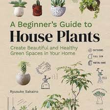 A Beginner S Guide To House Plants