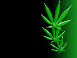 weed 3d wallpapers wallpaper cave